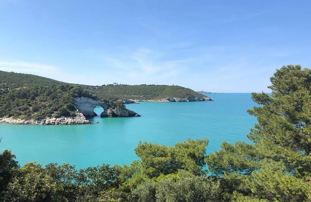 Vieste Suite-1