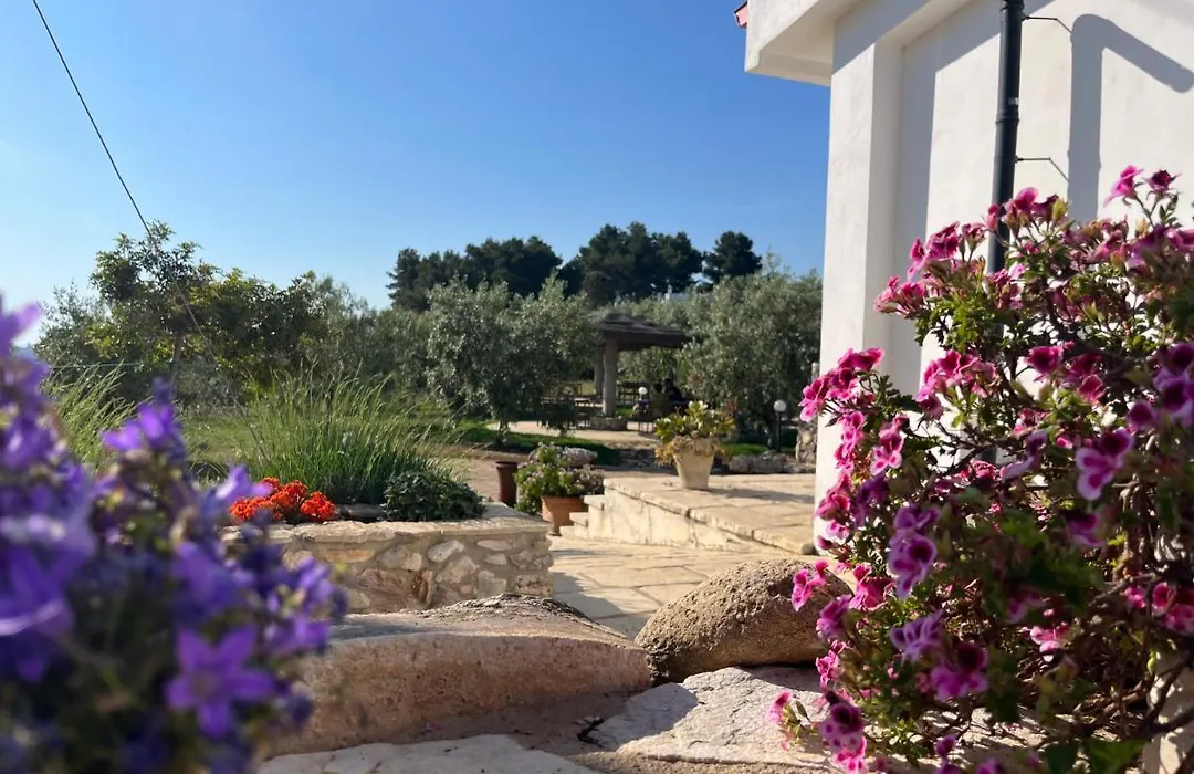 B&B Le Cicale-1