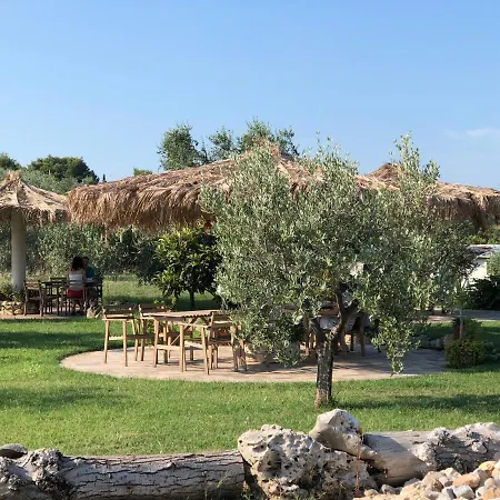 B&B Le Cicale-2