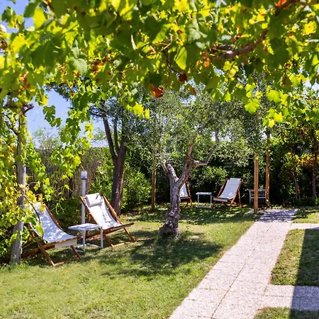 Aria Di Mare Vieste - Luxury Apartments By The Sea-2