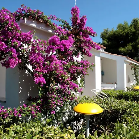 Villaggio Turistico Residence Delfino-2