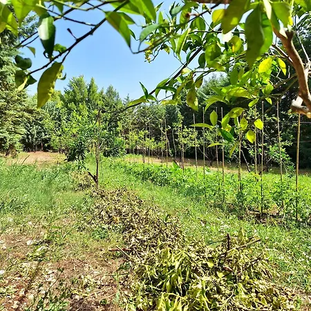 Villa Amica-2