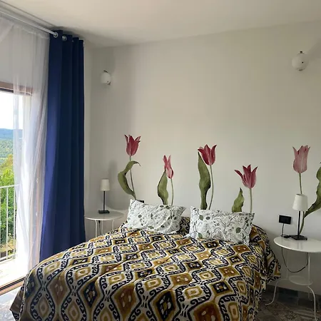 B&B Le Cicale-3