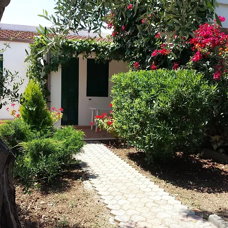 Residence Alba-2
