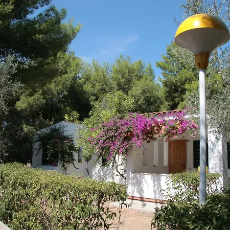 Villaggio Turistico Residence Delfino-3